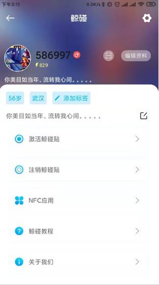 鲸碰app下载软件截图