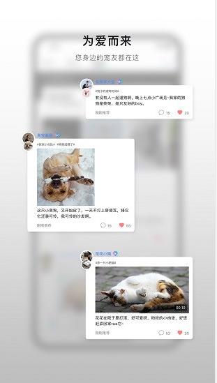 小它app下载软件截图