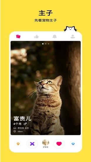 thinkpet app下载软件截图