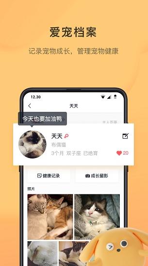 宠明app下载软件截图