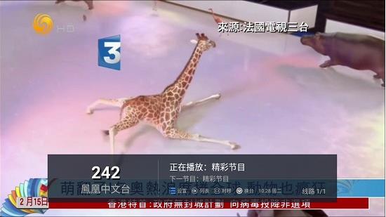 水星tv app下载软件截图