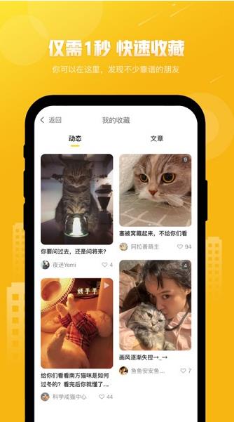 友猫社区app下载软件截图