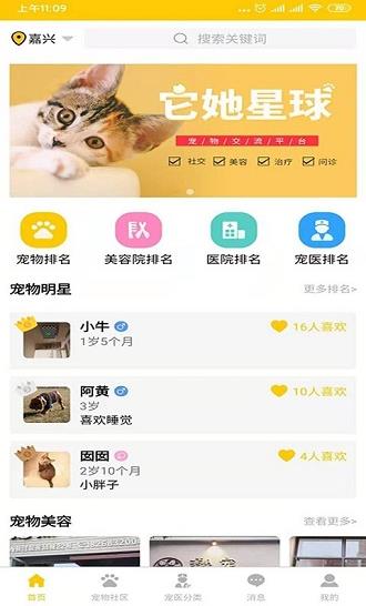 它她星球app下载软件截图