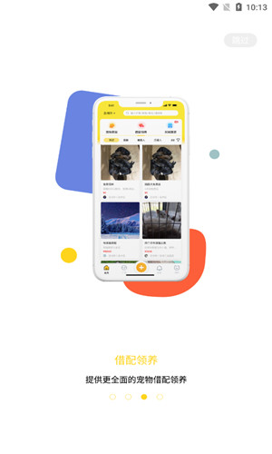 宠胖胖免费版软件截图