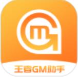 王者GM助手正式版