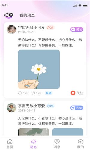 厢愿正式版软件截图