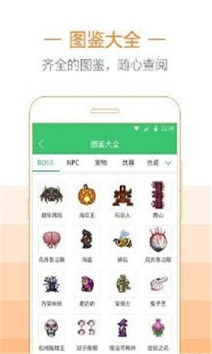 泰拉瑞亚助手手机版软件截图