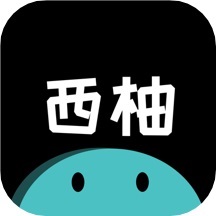 西柚交友正式版