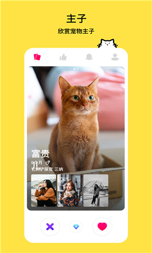 thinkpet铲屎官交友手机版软件截图